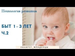 Психология развития. Ребенок 1-3 лет. Бытовая деятельность - ч. 2