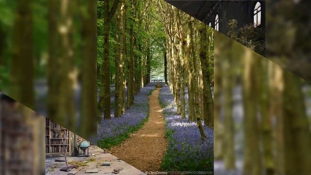 Всех-всех с добрым утром ! Labrīt,Labdien un Sveiki! смотреть онлайн