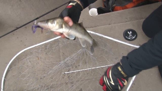 Ловим капризного осеннего судака. О рыбалке всерьез. Выпуск 351HD смотреть онлайн