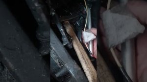 Двигатель тайга 500 на снегоход Рысь 500,как подключить  дукати к штатной проводки.