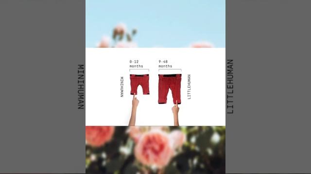 Одежда от производителя Petit Pli,которая растёт вместе с ребёнком.Может растягиваться до 7 размеро смотреть онлайн