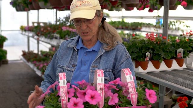 Char - Wave Flowers смотреть онлайн