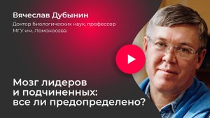 Вячеслав Дубынин. Мозг лидеров и подчиненных. Все ли предопределено?