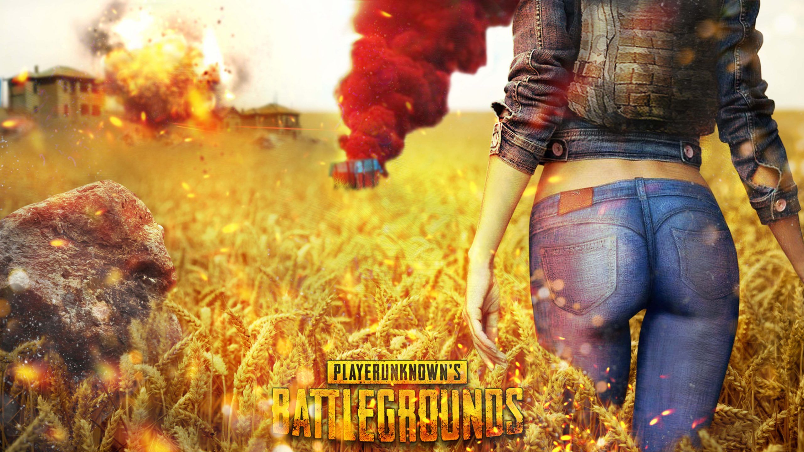 Обложка PLAYERUNKNOWN'S Battlegrounds PUBG
