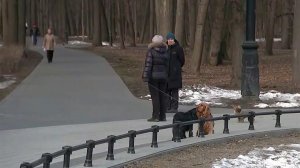 В европейской части России в выходные дни будет аномально тепло