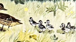 Ребята и утята. Краткое содержание