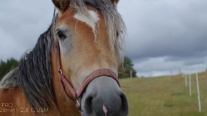 BLACKMAGIC POCKET 6K PRO + Canon EF 28mm f/2.8 IS USM | CINEMATIC