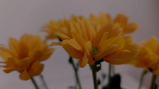 DIY Easy Elegant Sunflowers Floral Design // Natural Rustic Arrangement Tutorial смотреть онлайн