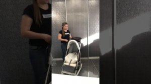 Санки-коляски Pikate arctic (Пикате арктик новинка)