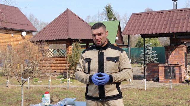 Опрыскивание плодовых весной 4 этапа