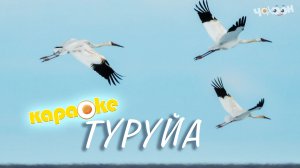 КАРАОКЕ| Туруйа