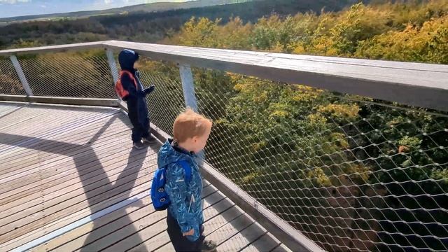 По верхушкам деревьев в осеннем лесу. Поход с детьми  Baumwipfelpfad im Steigerwald