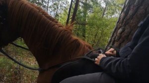 Осенний маршрут