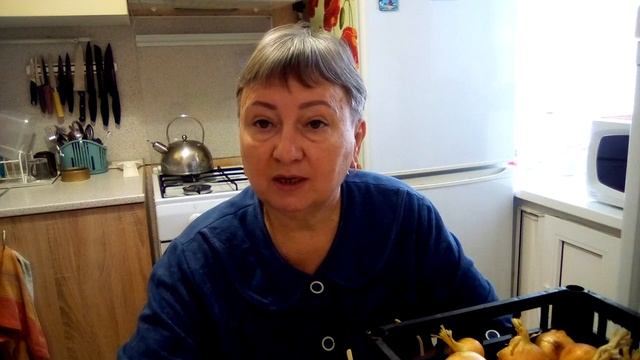 Лук под зиму.Какой и когда сажать. смотреть онлайн