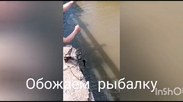 Видеоролик о семье Васеевых