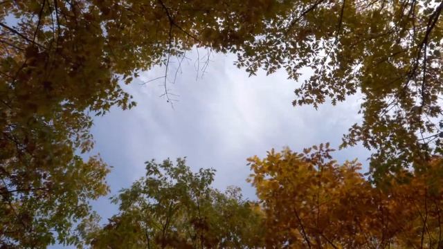 Экшн камера Xiaomi Seabird 4K - тестовое видео смотреть онлайн