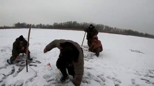 ОН СВОДИТ меня С УМА! зимняя рыбалка  ловля крупного карася на боковой кивок