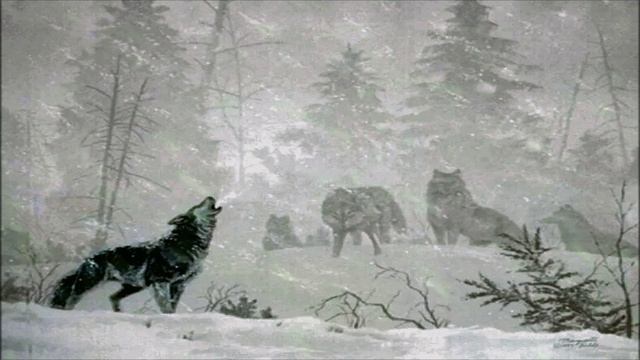 1 час- Зимняя буря со звуками волчьей стаи. Мурашки по коже