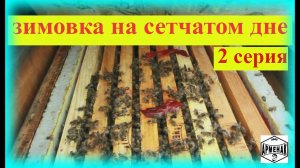 Зимовка пчел на сетчатом дне улья. 2 серия.