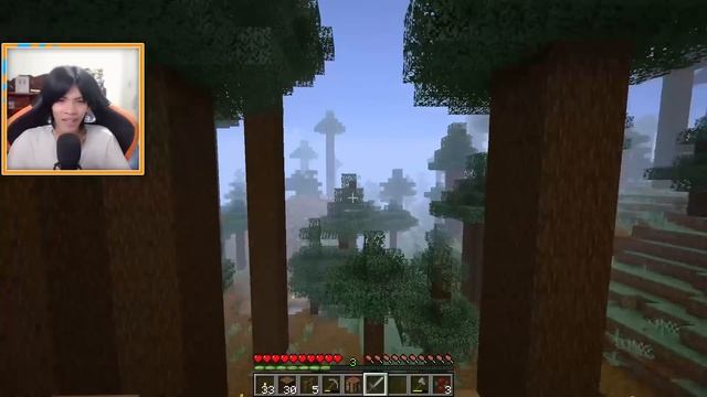 ខ្ញុំបានជួបបិសាចក្បាលមេក្រូដ៏គួរឱ្យខ្លាចនៅក្នុងMinecraft смотреть онлайн