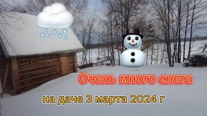 Съездили на дачу - очень много снега 3 марта 2024 г