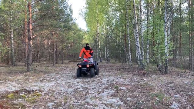Квадроцикл в лесу 21 мая 2022 г. смотреть онлайн