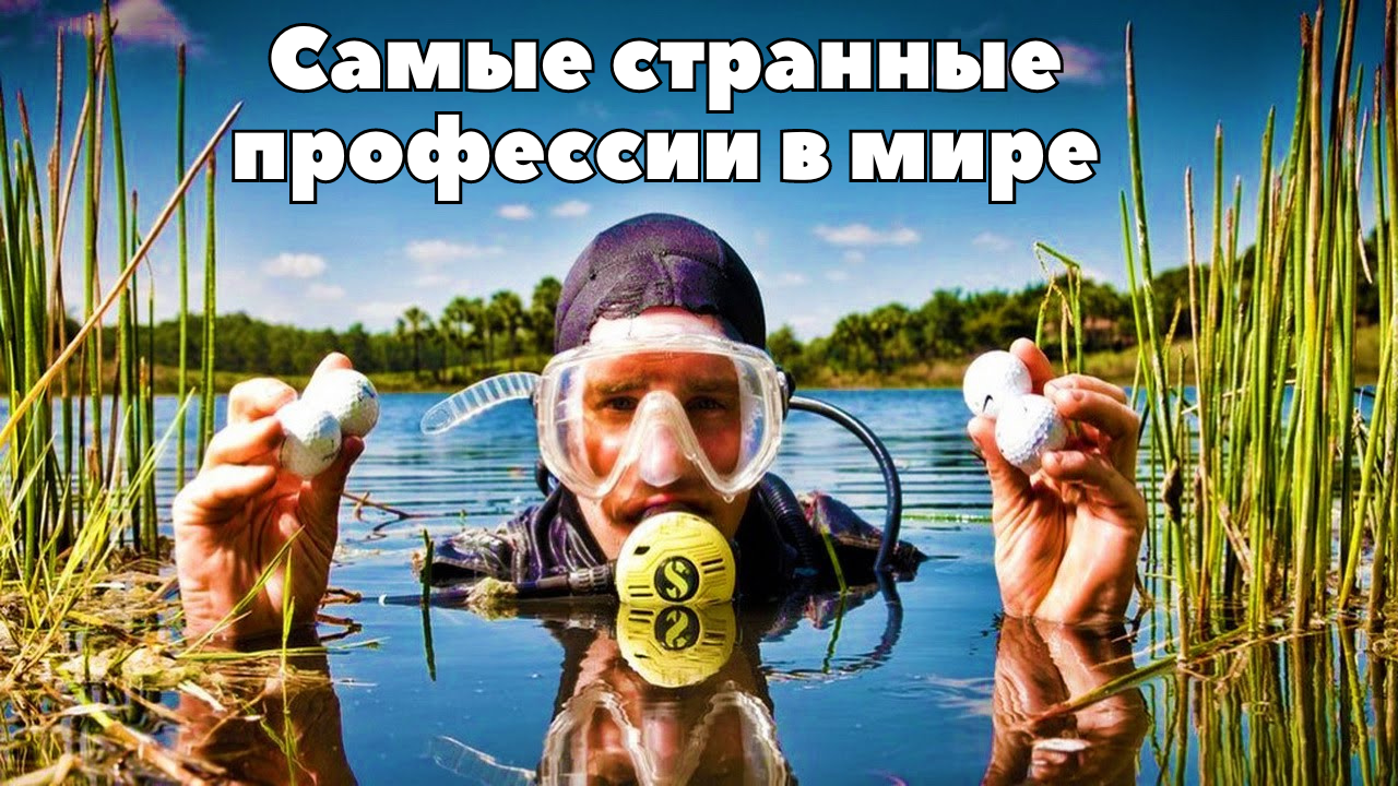 Самые странные  профессии, о существовании которых Вы не знали