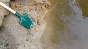 Что скрывает река? Поиск зубов древних акул, Свердловская область