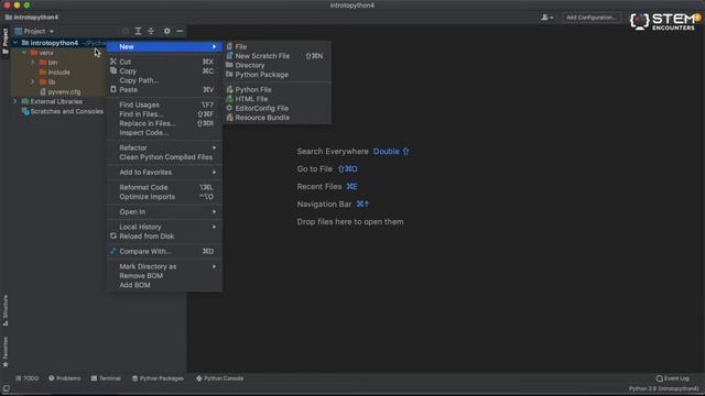 STEMEncounters Online PythonCourse | An Introduction to Python