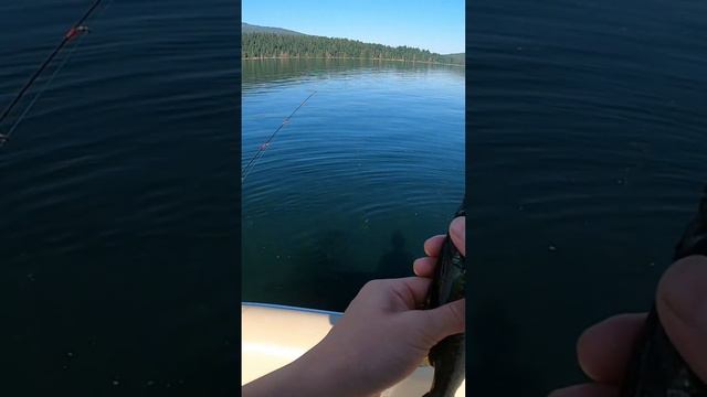 Jimmy's Fiend Caught His First Fish....