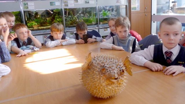 1 КЛАСС?35 лицей г.Калининград