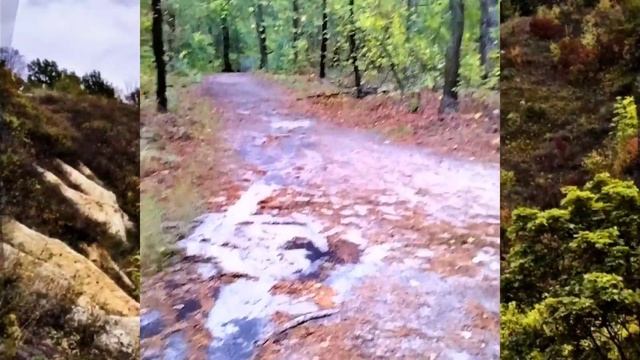 Заповедная сказка #воронежский_заповедник #автотуризм #путешествие_на_машине #туризм_джиппинг смотреть онлайн