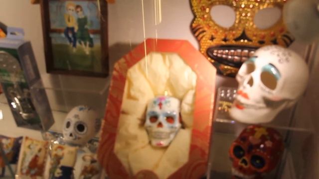 Видеознакомство с Музеем Черепов и Скелетов (МЧС) , часть 2 смотреть онлайн