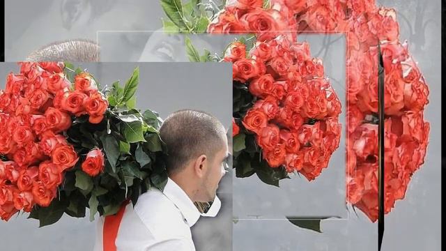 В Кротов СОЛНЫШКО МОЁ автор видео Л Ярощук смотреть онлайн