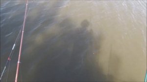 Ловля крупного карася на флэт кормушку