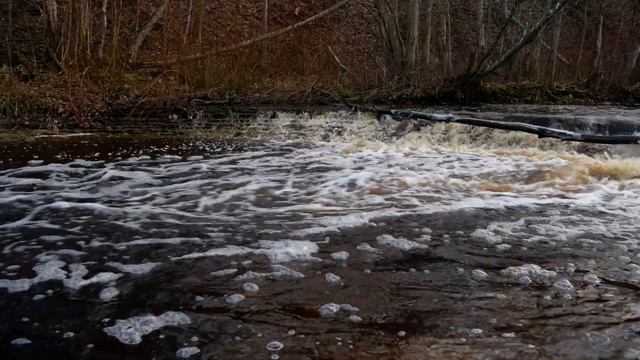 Каньон реки Лава. Стремительный поток воды прорезает себе путь в породах oрдовикского периода. смотреть онлайн
