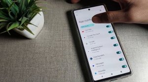 App's Notification google pixel 7 pro, how to use App's Notification