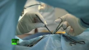 Ветеринарная клиника  Вторая серия