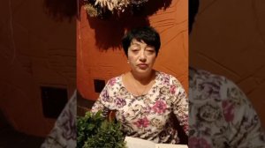 Котовник.Также кошачья мята.Растение в состав которого входит корвалол.
