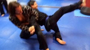 Hapkido Moo Hak Kwan: Maestro Alberto Jiménez