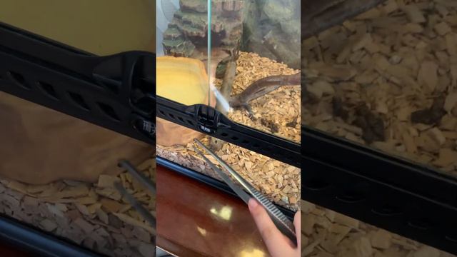 27 февраля 2024 г. смотреть онлайн