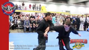 Hapkido Demonstration at Arnold Sports Festival