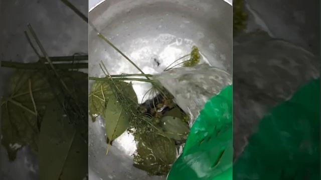 #рецепт/огурцы и патиссоны/на зиму/ без стерилизации/