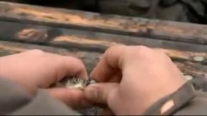 Снасточка Драшковича.flv