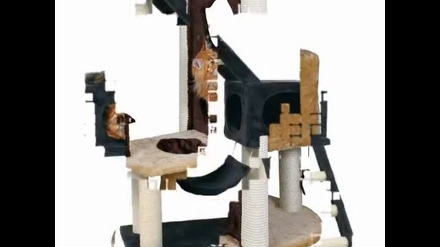 домик когтеточка для кошек купить смотреть онлайн