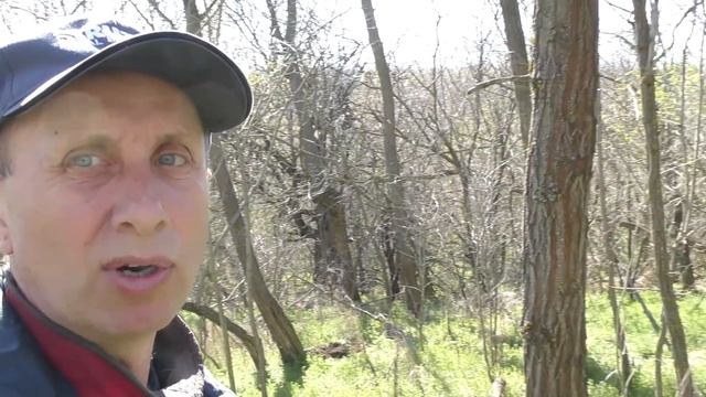ПРИШЛОСЬ РАСКОПАТЬ ЦАРСКИЙ ПОГРЕБ, ЧТОБЫ ДОСТАТЬ КЛАД! Коп с RUTUS ALTER 71  Тест прибора!