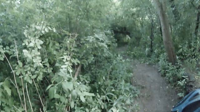 Trail Building 101: How to Trim Trails like a Pro