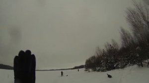 Охота на выпускного фазана