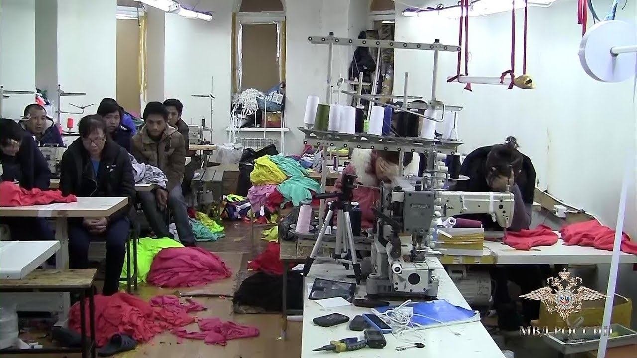 В Подмосковье пресечена деятельность подпольного цеха по производству контрафактной одежды