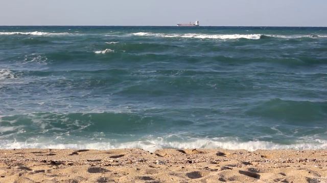 Готовка Хумуса и Автостопом в Нетанию. Зимовка на Ближнем Востоке. Часть 5 смотреть онлайн